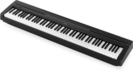 Yamaha P-45B по цене 80 000 ₽