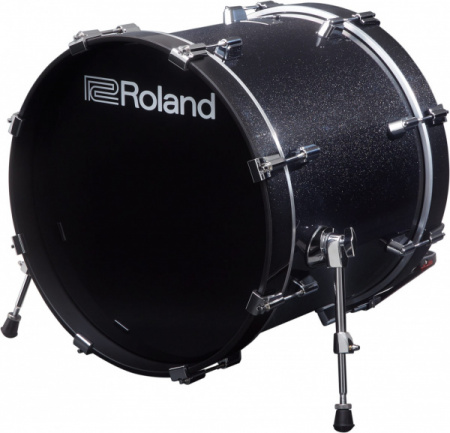 Roland KD-200-MS по цене 187 820 ₽