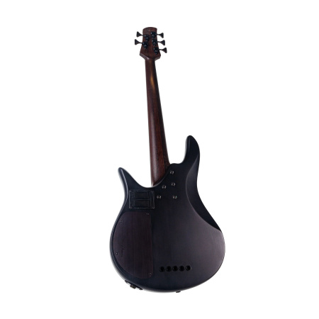 Spector Legend 5 Standard Black Stain по цене 74 860 ₽