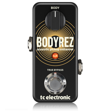 TC Electronic BodyRez Acoustic Pickup Enhancer по цене 12 150 ₽