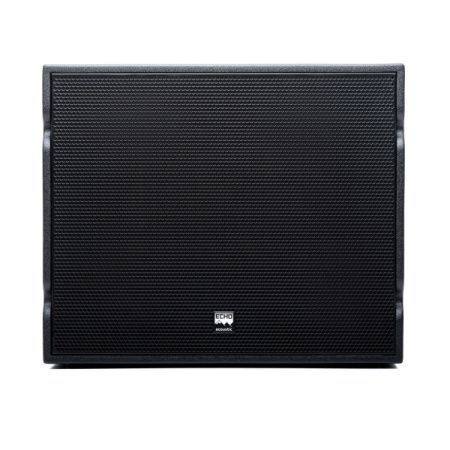 Echo Acoustic EM118SP по цене 104 650 ₽