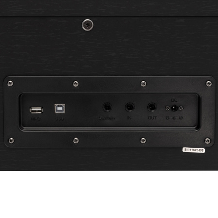 Rockdale Etude 256 BK по цене 59&nbsp;900 ₽