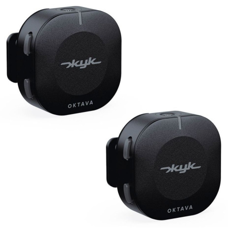 Октава Жук-2-Ч по цене 19&nbsp;260.00 ₽