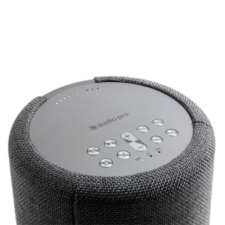Audio Pro A10 Dark Grey по цене 19 200 ₽
