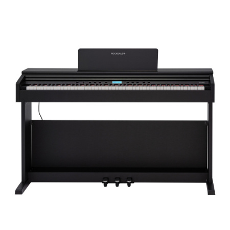 Rockdale Etude 256 BK по цене 59&nbsp;900 ₽