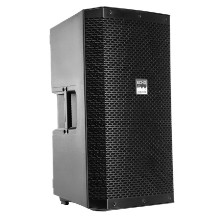 Echo Acoustic EX112P по цене 33 740 ₽