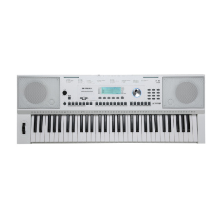 Kurzweil KP110 White по цене 35 360 ₽